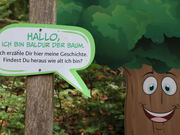 Baldur der Baum