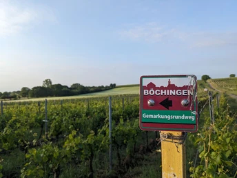 Böchinger Gemarkungsrundweg