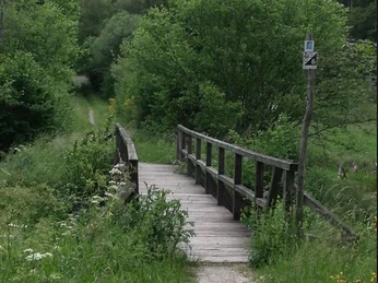 Saar-Hunsrück-Steig Keller Steg, Schutzhütte
