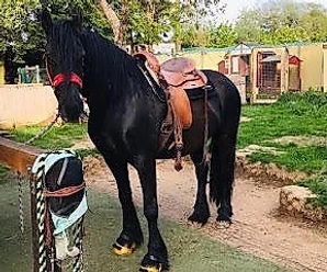 Black Sky Ranch