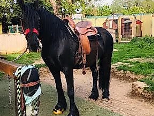 Black Sky Ranch