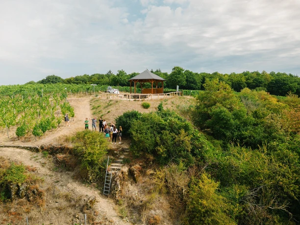 Wehrer Rosenberg (01)