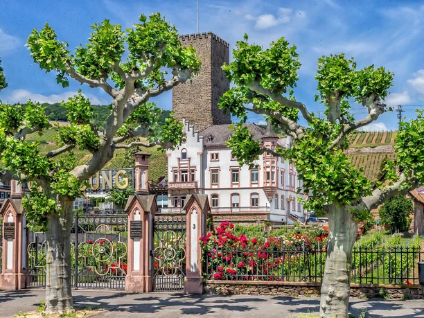 Boosenburg in Rüdesheim