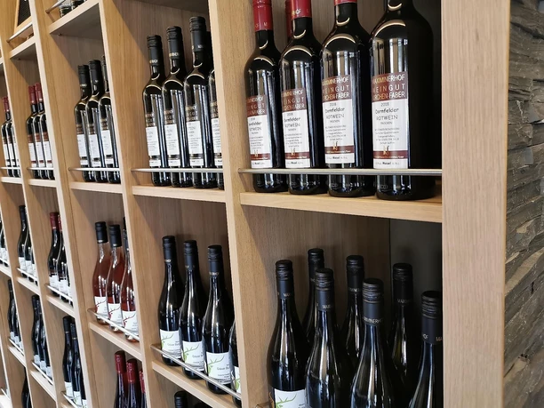 Weingut Maximinerhof (3)