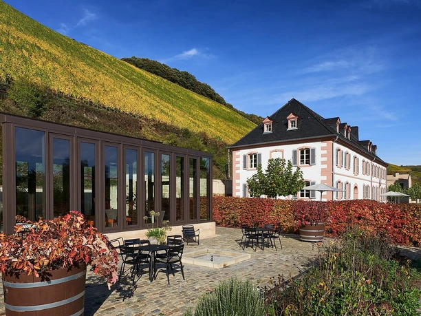 Weingut Cantzheim (3)