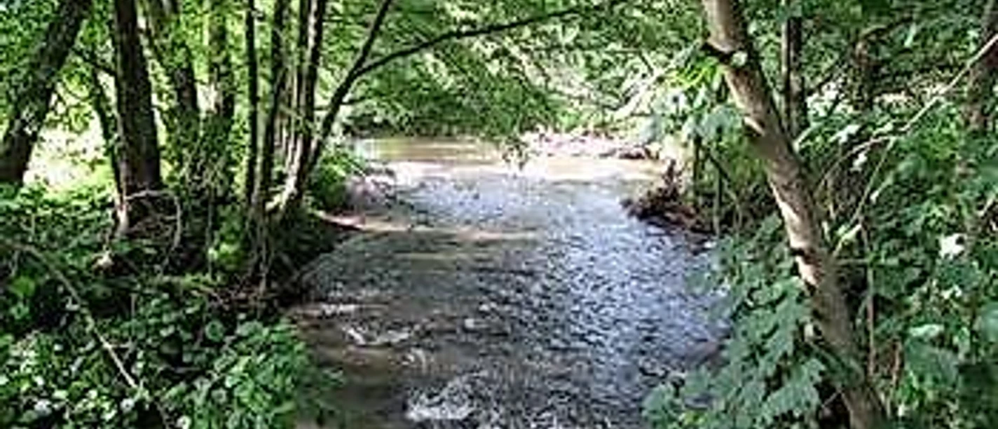 Alfbach