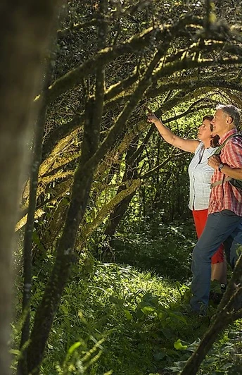 Unterwegs auf der Traumschleife Waldsaumweg