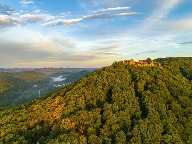 Madenburg auf dem Rothenberg Madenburg auf dem Rothenberg