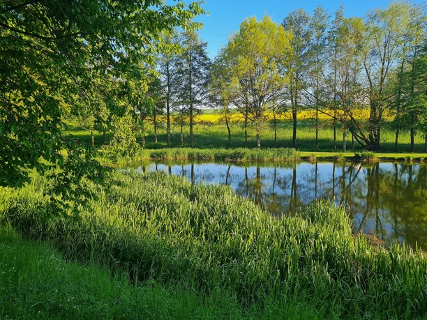 Blankenrath Natur