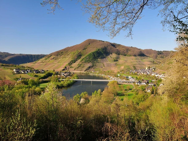 Senheim-Senhals