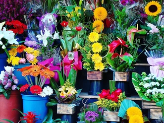 Blumenladen