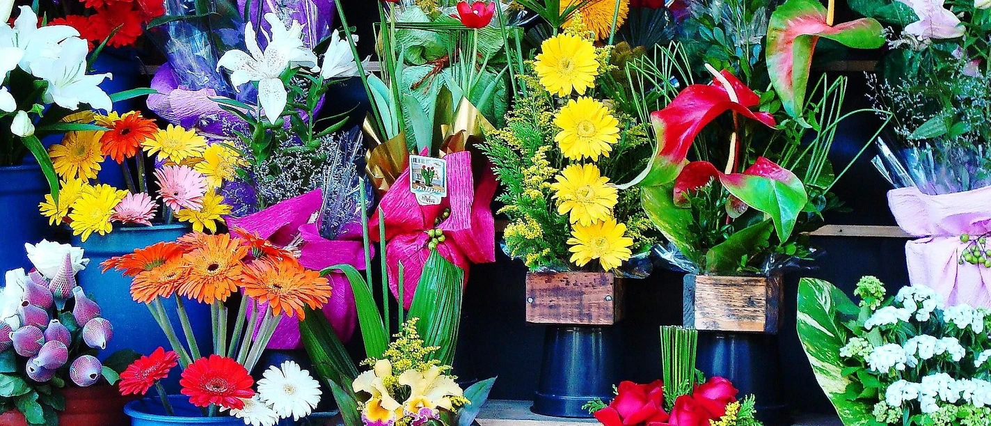 Blumenladen