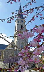 St. Ignatius