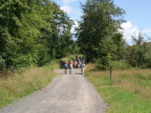 Wandergruppe Alte Poststraße