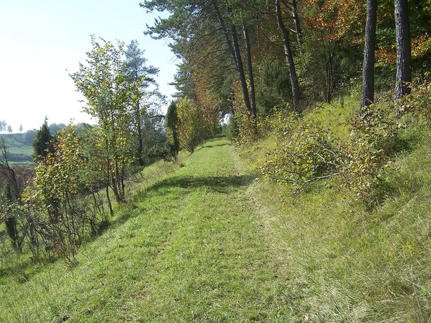 Schönecker Schweiz