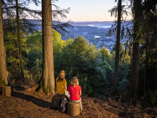 Aussichtspunkt mit Blick auf Saarburg (01)