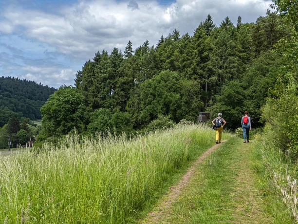 Wandern Saar-Obermosel (2)
