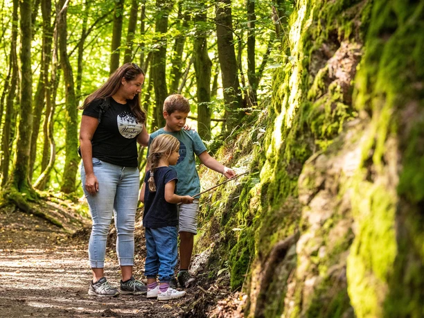 Entdeckungen auf dem Eichhörnchenweg
