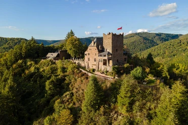 Burg Arras Alf