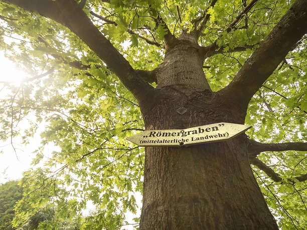 Baum