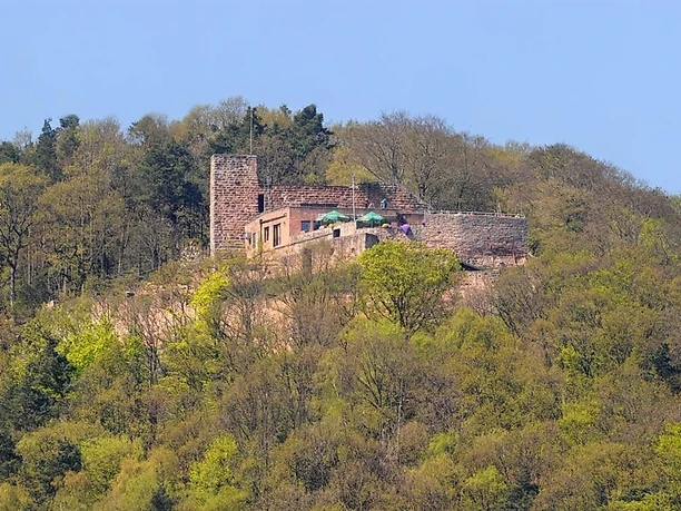 Ruine Rietburg