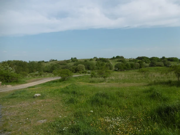 Blick über den Weinberg