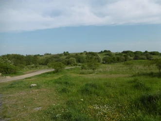 Blick über den Weinberg
