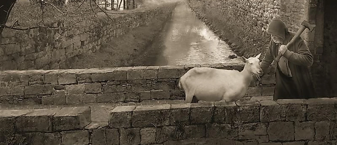 Auf der Mauer, auf der Lauer