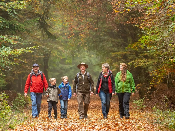 Nationalpark Eifel-2018-163