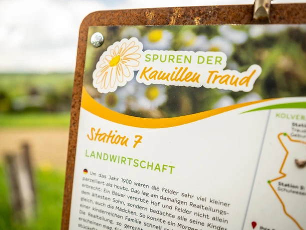 Tafel Spuren der KamillenTraud Tafel Spuren der KamillenTraud