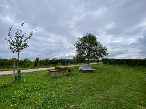 Picknickplatz „Dorfblick“ (2)