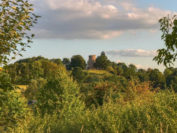 Wittelsberger Warte aus der Ferne