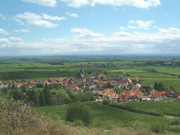 Ortsansicht Burrweiler2