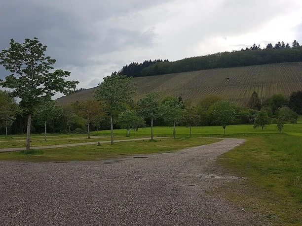 Blick auf die Weinberge vom Wohnmobilstellplatz
