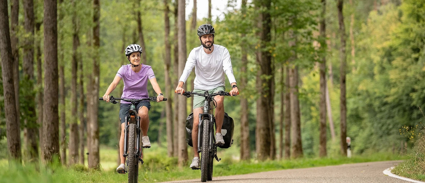 Radtour durch den Pfälzerwald