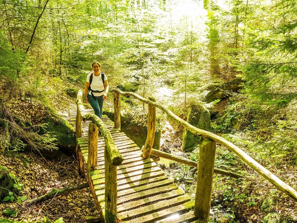 Brücke im Eiderbachtal