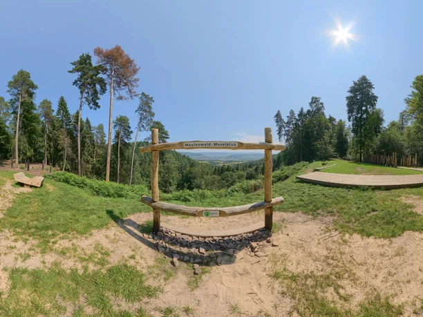 Meulenwald-Moselblick