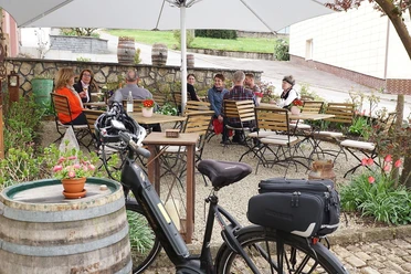Weingut Peter Greif Tawern-Fellerich (1)