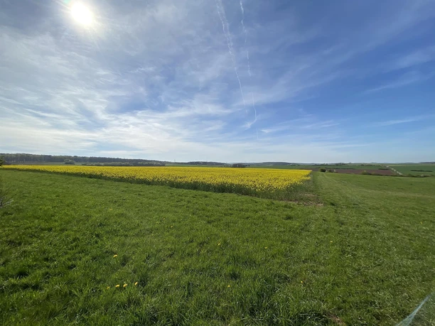 Blick auf den Burgberg Blick auf den Burgberg