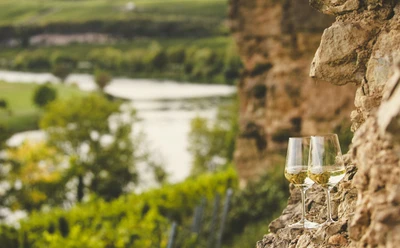 SAUERWEINS Weingut