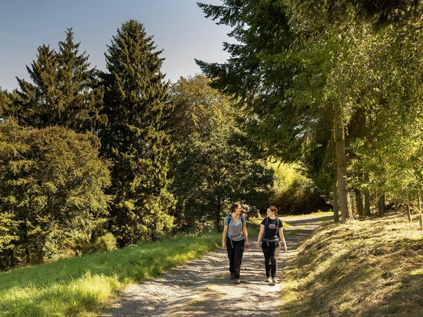 Hocheifel-Panorama-Weg Insul-Winnerath
