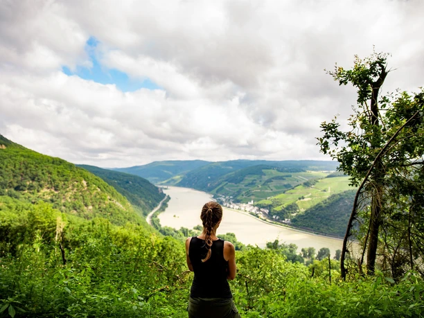Blick vom RheinBurgenweg