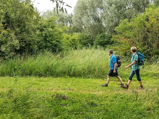 Durch das Biotop Rohrwiesen