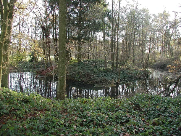 Motte Broichhausen im Winter