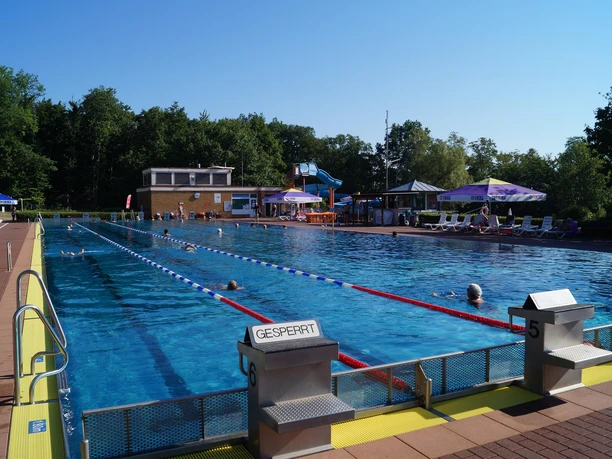 50 Meter Becken mit Startblöcke