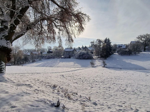 Naturpark Nassau Wiese im Winter