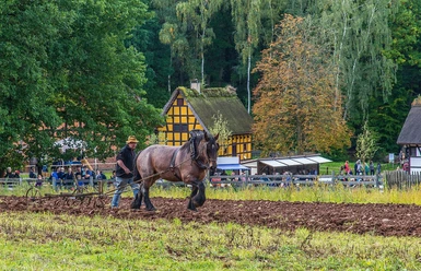 Arbeiten auf dem Feld