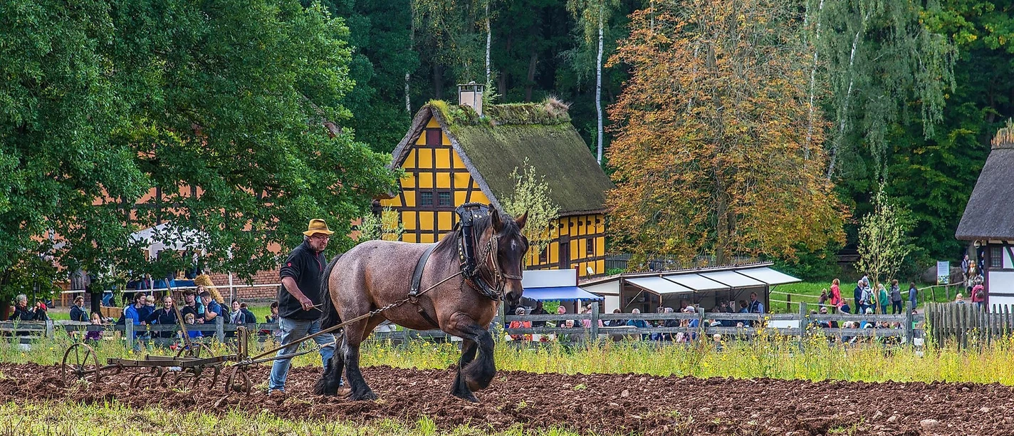 Arbeiten auf dem Feld