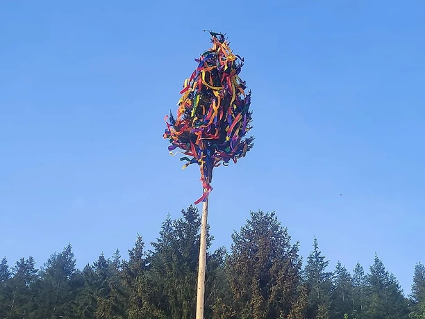 Maibaum