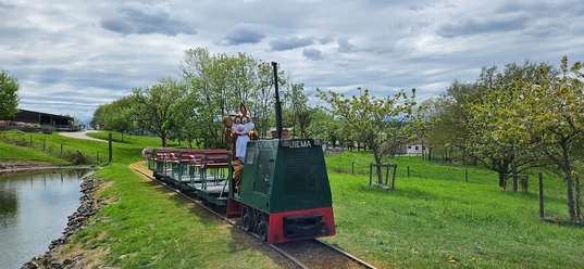 Feldbahn Serrig (2)